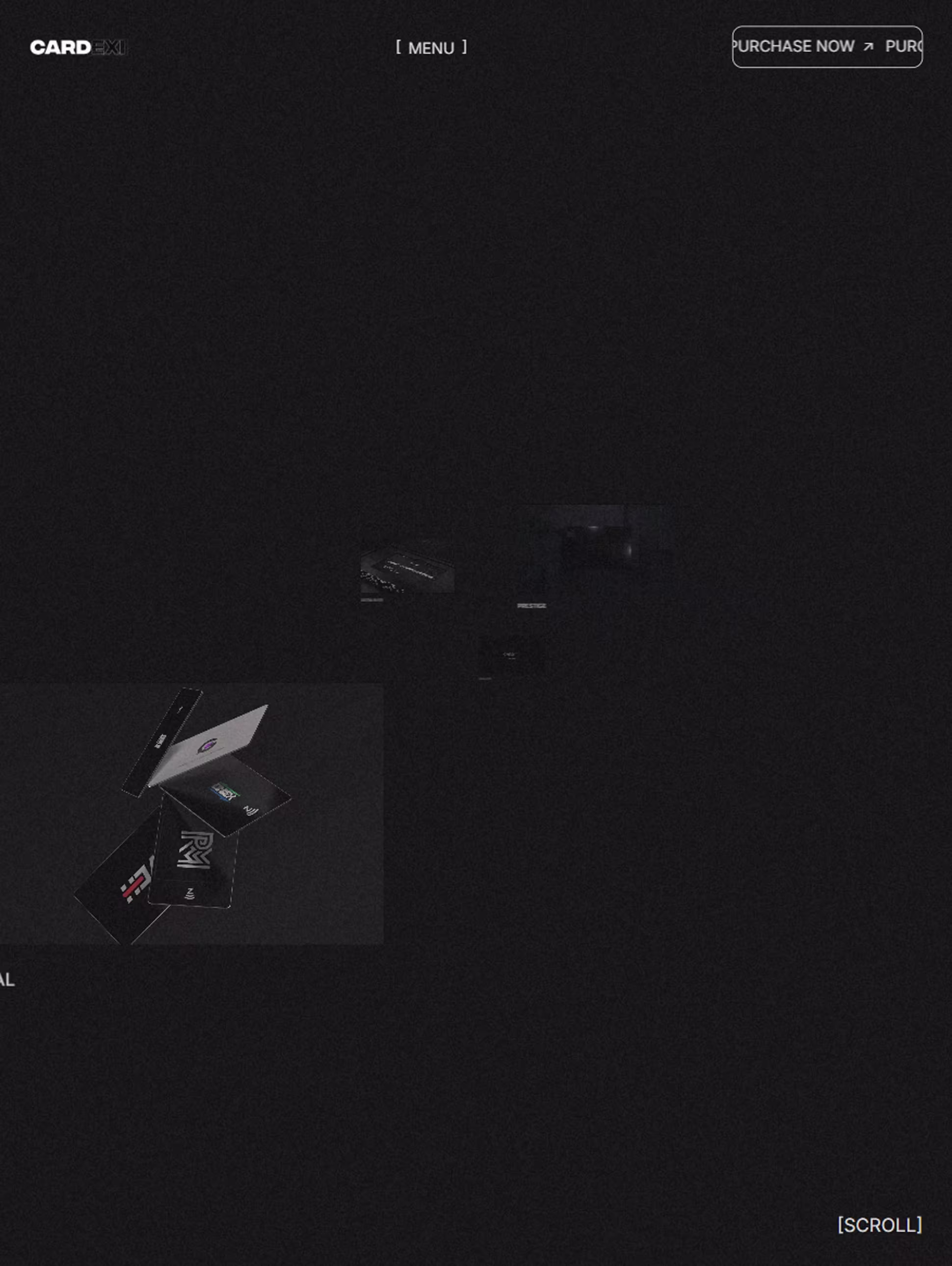 Cardexi Website